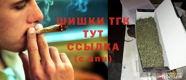 гашик Бородино