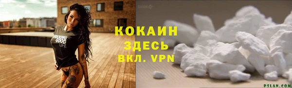 гашик Бородино