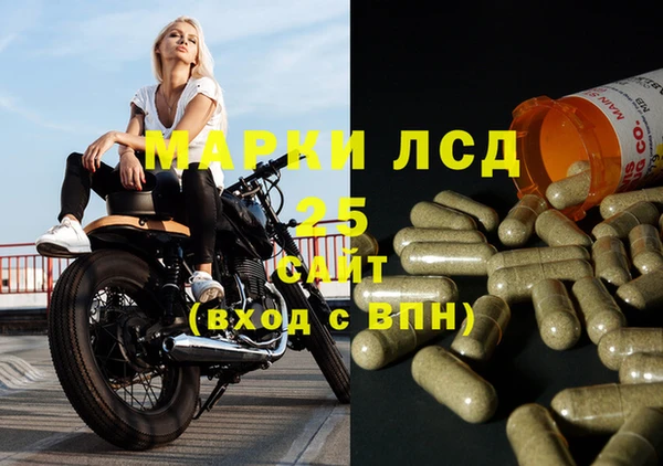 гашик Бородино