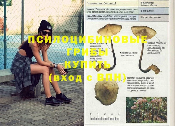 марки lsd Бугульма