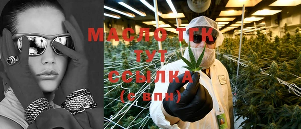 гашик Бородино