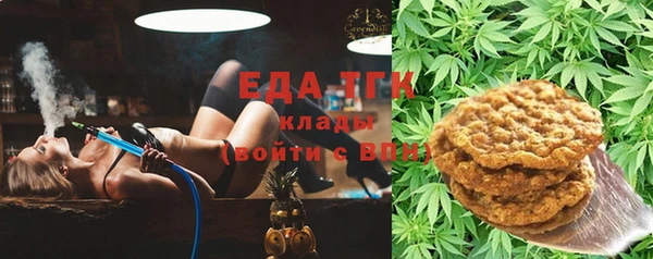 гашик Бородино