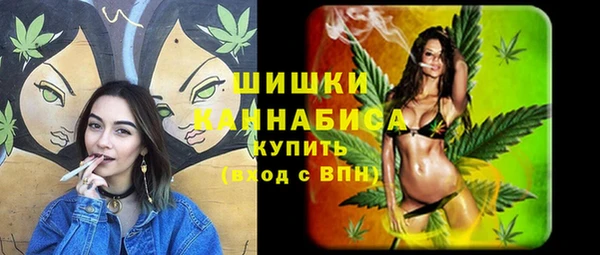 гашик Бородино