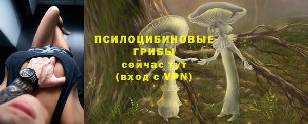 марки lsd Бугульма